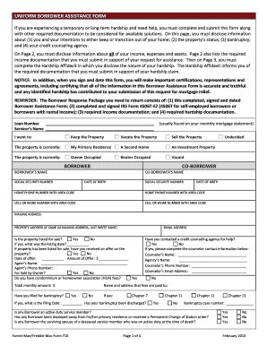Uniform Borrower Assistance Form