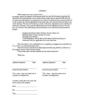 Mortgage Loan Credit Consent Form