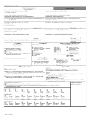 US Bankruptcy Court Voluntary Petition