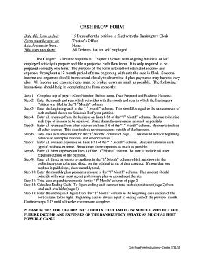 Chapter 13 Cash Flow Form