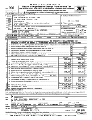 IRS Form 990 2013