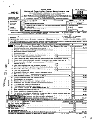 Form 990-EZ Tax Return