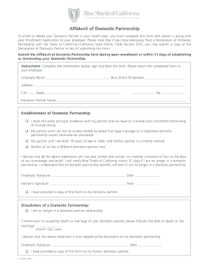 Affidavit of Domestic Partnership