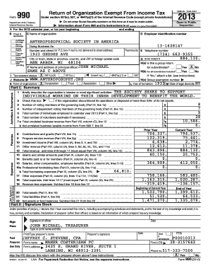 Form 990 2013