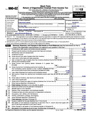 Form 990-EZ Tax Return