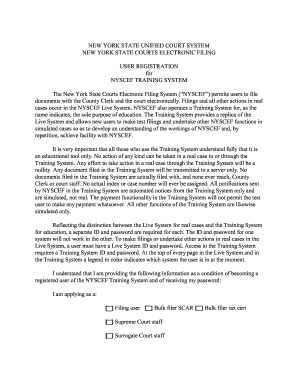 New York State Courts Electronic Filing User Registration