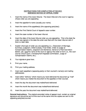 Amended Notice of Appeal Form