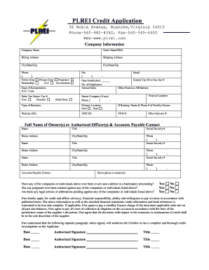 PLREI Credit Application Form