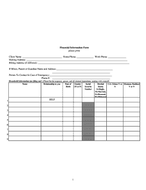 Montana Consumer Financial Statement