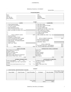 Personal Financial Statement Form