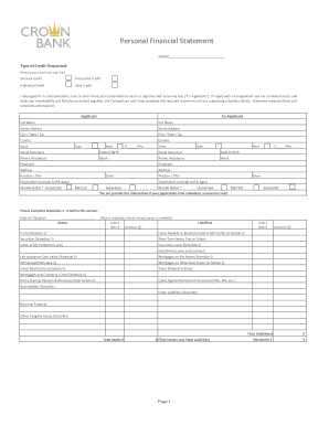 Personal Financial Statement Form