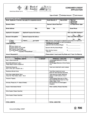 Consumer Credit Application Form