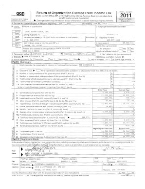 Form 990 2011