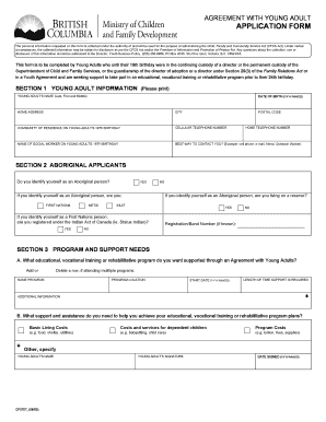 Agreement with Young Adult Application Form