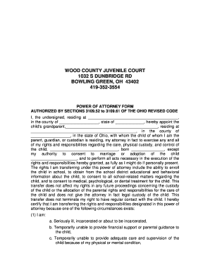 Ohio Power of Attorney for Child Care