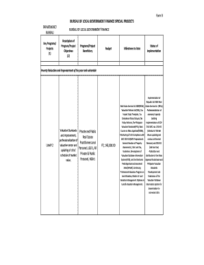 Philippines Local Government Finance Special Projects Form