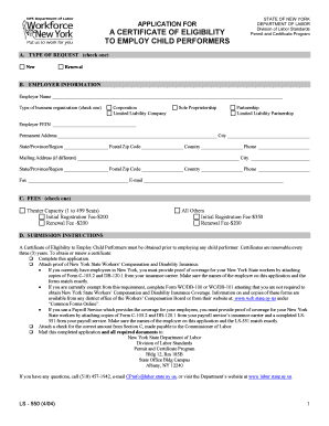 New York Child Performer Employment Application