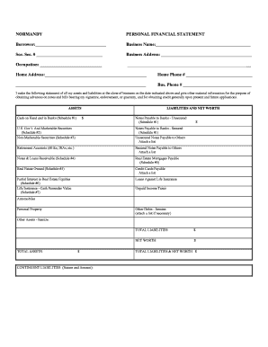Normandy Personal Financial Statement