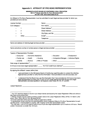 Affidavit of Pro Bono Representation