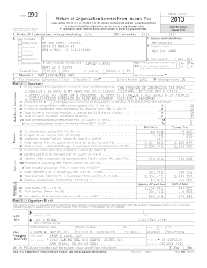 Form 990 2013