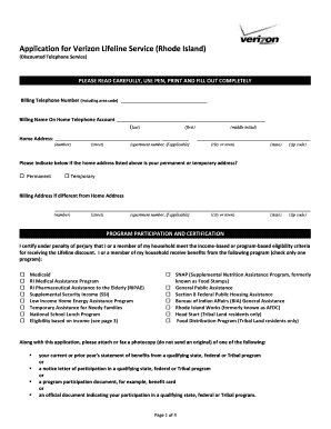 Application for Verizon Lifeline Service