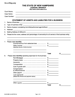 New Hampshire Business Assets and Liabilities Statement