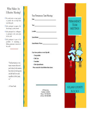 Permanency Team Meeting Form
