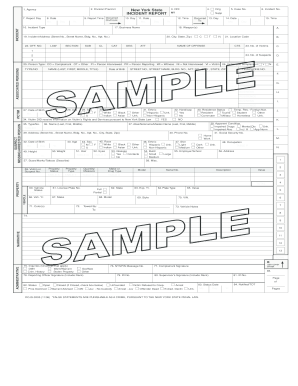 New York State Incident Report