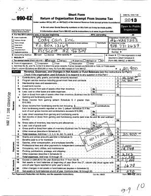 Form 990-EZ 2013