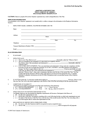 Solo 401(k) Adoption Agreement