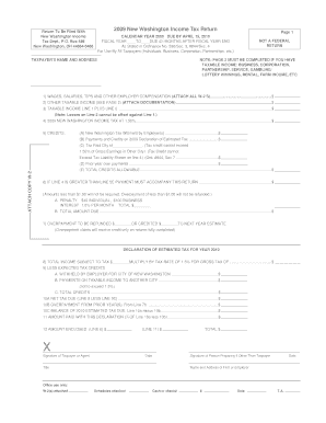 2009 New Washington Income Tax Return
