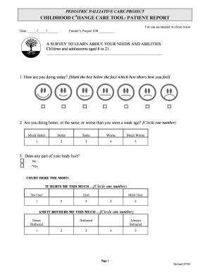 Pediatric Palliative Care Patient Report