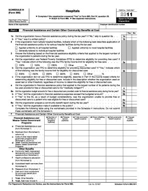 Schedule H Form 990