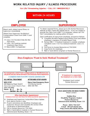 Work Related Injury Illness Form