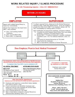 Work Related Injury Illness Form