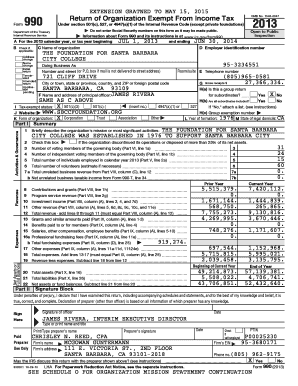 Form 990 2013