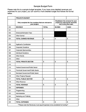Project Budget Form