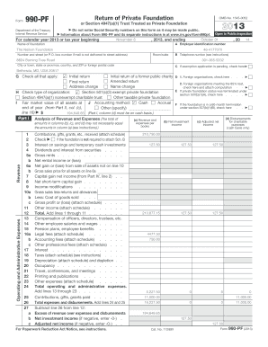 Form 990-PF 2013