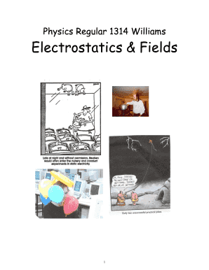 Physics Lab Report Electrostatics & Fields