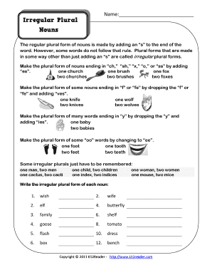 Irregular Plural Nouns Worksheet