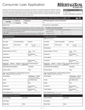 Consumer Loan Application