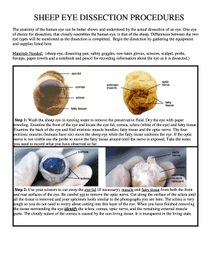 Sheep Eye Dissection Procedure Guide