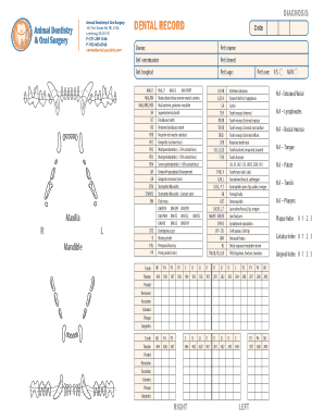 Veterinary Dental Record Form