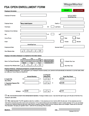 FSA Open Enrollment Form