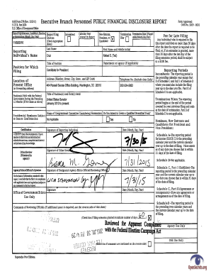 US Federal Executive Branch Financial Disclosure Report