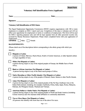 Voluntary Self Identification Form