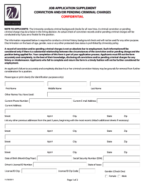 Job Application Criminal Background Check Form