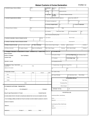 Customs declaration online Customs declaration online
