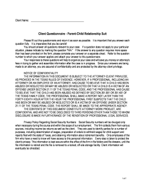 Client Questionnaire - Parent-Child Relationship Suit