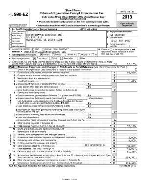 Form 990-EZ Tax Return